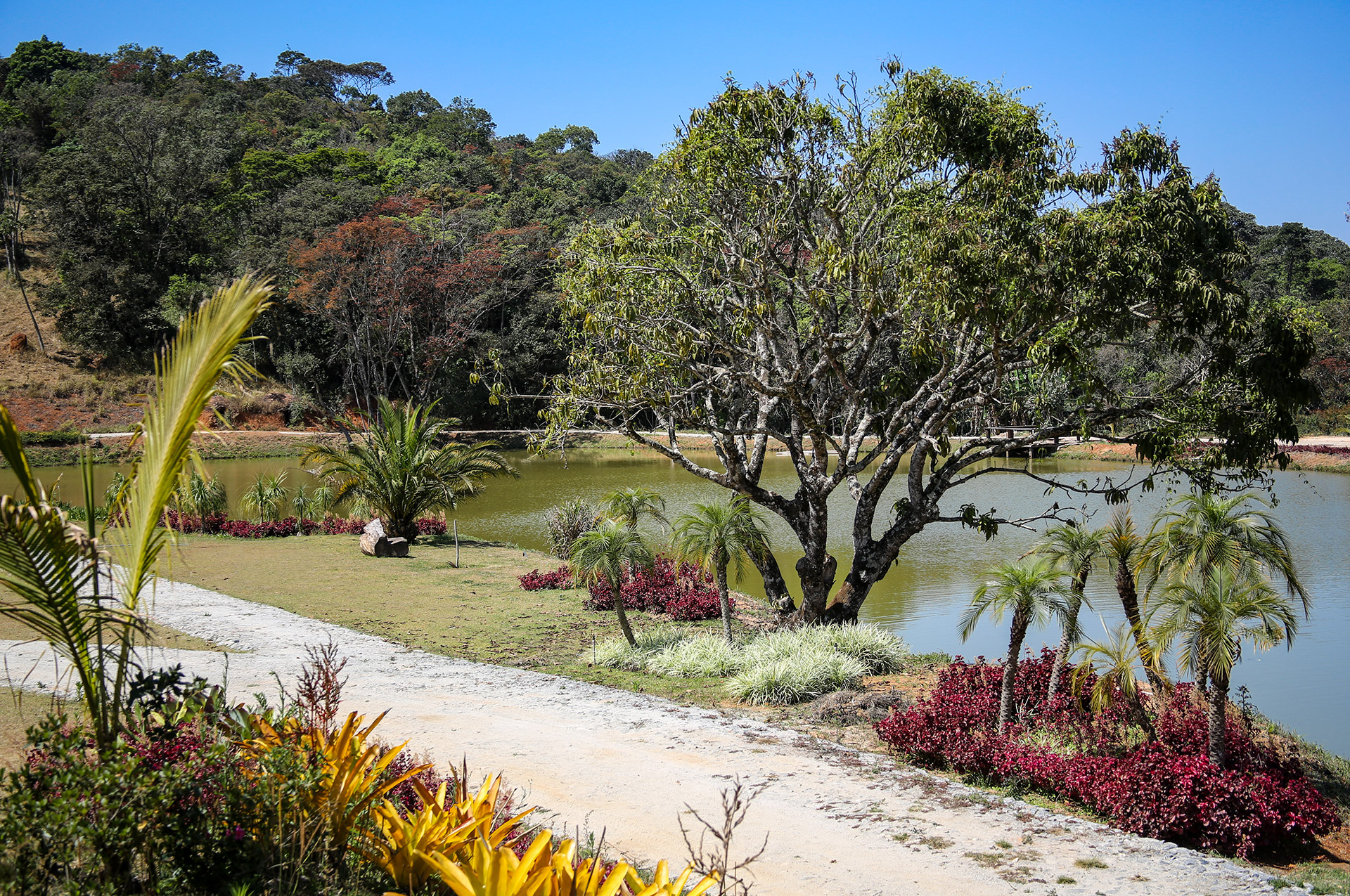 Uma experiência em meio à Natureza